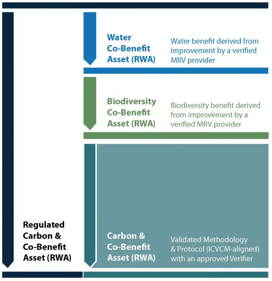 Carbon Credit